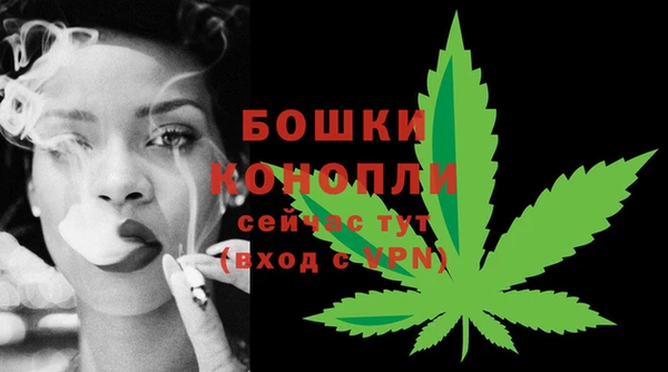трава Богданович