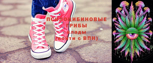 2c-b Богородицк